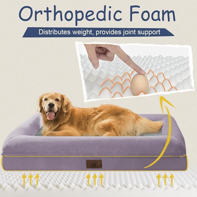 Medium Orthopedic Dog Beds, Large Waterproof Dog Bed with Removable Cover, 4-Sides Bolster Support Pet Soft Sofa, Washable Pet Beds for Large Dogs, Purple