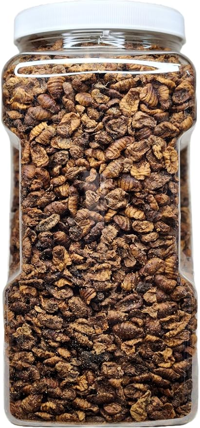 Silkworm Pupae, Freeze Dried for Koi, Pond Fish, Turtles, Large Fish. Silkworm is Rich in Natural Lipids & Proteins and a Natural Color Enhancing Treat..2-lb 8oz Lg Jar