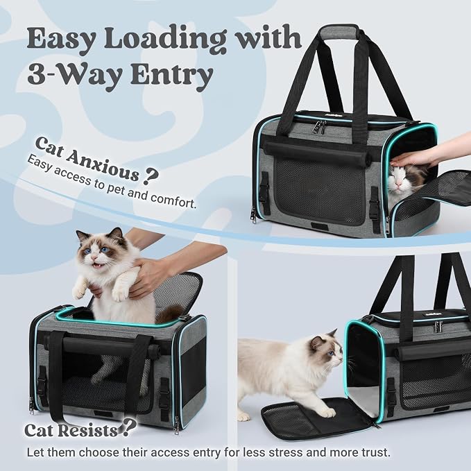 rabbitgoo Cat Carrier Soft, Pet Bag with Rollable Flap for Anxious Kittens, Travel Safe for Car Airline, Collapsible Portable Carrying for Medium to Large Cats, Grey, 19" L x 12" W x 12" H