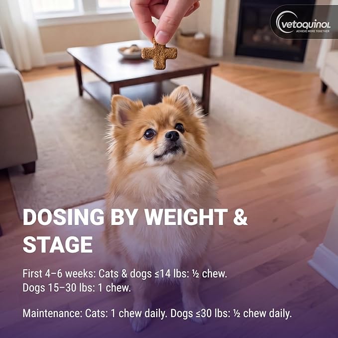 Vetoquinol Flexadin Plus - Hip & Joint Support for Cats & Small Dogs - Flexibility & Cartilage Support - Aids with Pet Mobility - Green-Lipped Mussel & Vitamin E - for Pets Up to 30 lbs - 90 Chews
