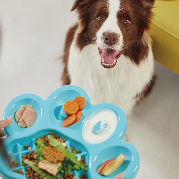 PetDreamHouse PAW Feeder Interactive Bowl for Dogs, Puppies or Cats Plate Food Treats Controls Fast Eating Anti Bloating - Blue