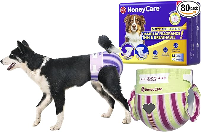 HONEY CARE Petrichor Female Dog Diaper, Camellia Fragrance, Emits Fresh Scent While Absorbing Urine, Thin & Breathable, 2 Fashion Designs in 1 Package, M, 80 Count