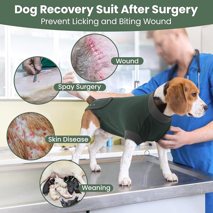 IDOMIK Dog Recovery Suit - Female Spay & Male Neuter Post Surgery Onesie, Anti-Licking Abdominal Wound Bandage & E-Collar Cone Alternative