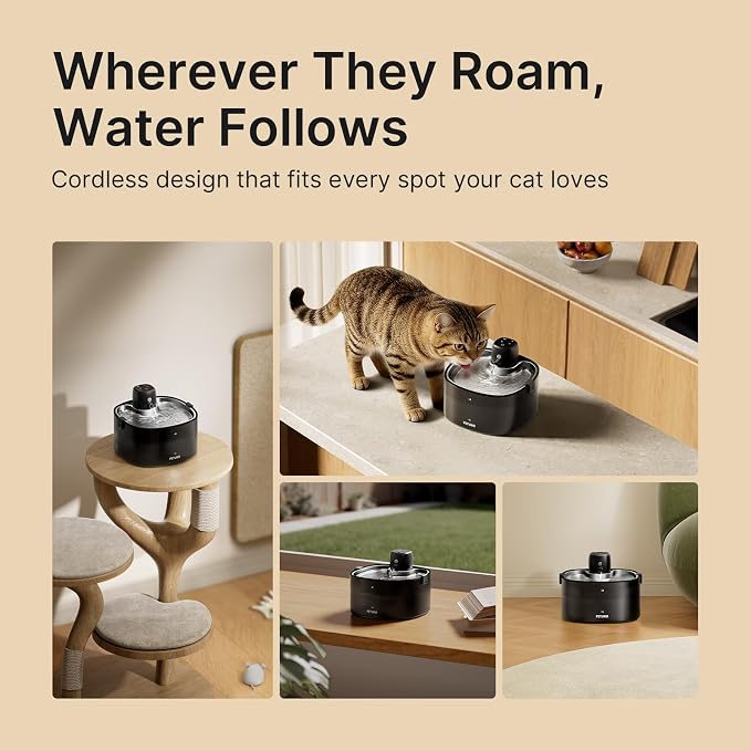 Wireless Cat Water Fountain and 12-Pack Replacement Filters