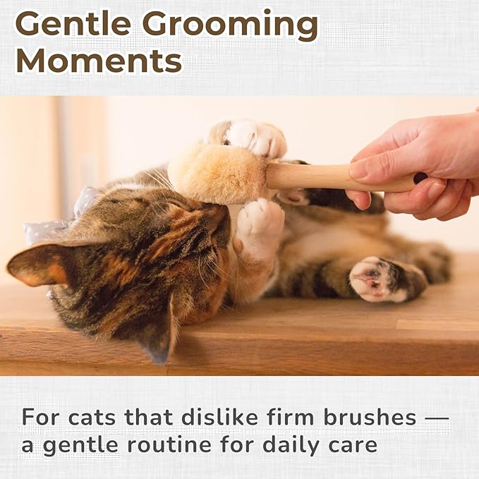 Wablade Cat Brush 7.5 Inch, Gentle Grooming Brush for Sensitive Cats & Kittens – Soft Grooming & Massage, Gently Removes Loose Surface Fur (Not a Deshedding Tool), Sisal, Made in Japan (Type-A)