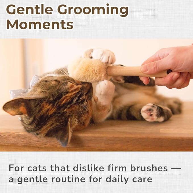 Wablade Cat Brush 7.9 Inch, Gentle Grooming Brush for Sensitive Cats & Kittens – Soft Grooming & Massage, Gently Removes Loose Surface Fur (Not a Deshedding Tool), Sisal, Made in Japan (Type-B)
