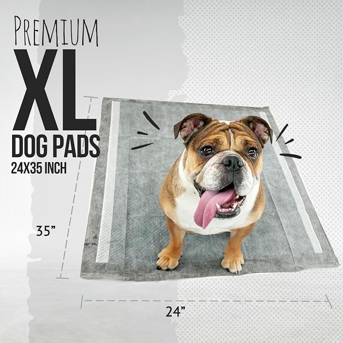 Bulldoglogy Carbon Black Puppy Pee Pads with Adhesive Sticky Tape - Extra Large Charcoal Housebreaking Dog Training Wee Pads (24x35) (60-Count, Black)