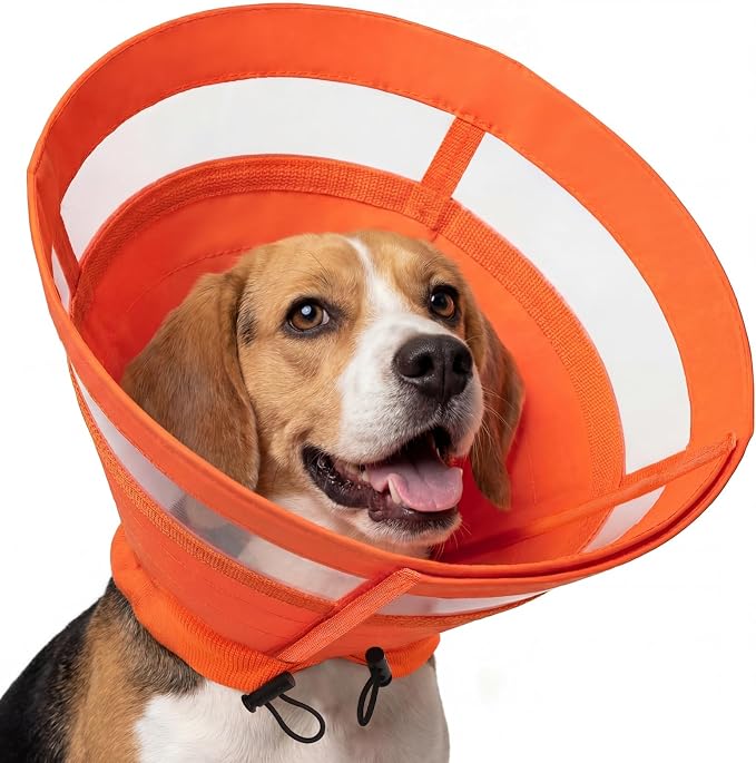 ASENKU Dog Cone Collar, Protective Recovery Dog Collar After Surgery, Comfy Adjustable Cone for Dogs to Stop Licking, Pet E-Collar for Small, Medium & Large Dogs(Orange, S)
