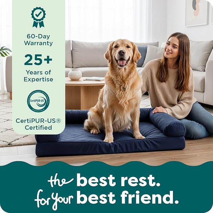 Furhaven Orthopedic Dog Bed for Large/Medium Dogs w/ Removable Bolsters & Washable Cover, For Dogs Up to 55 lbs - Plush & Velvet Waves Perfect Comfort Sofa - Celadon Green, Large