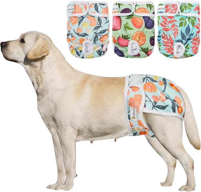 BELLA & PAL Washable Dog Diapers Female, 3 Pack Highly Absorbent Dog Diaper, Leak-Proof Diaper for Dog Female in Heat, Period, Incontinence, Excitement Pee (Natural Joy, XL (25-33" Waist))