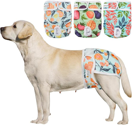 BELLA & PAL Washable Dog Diapers Female, 3 Pack Highly Absorbent Dog Diaper, Leak-Proof Diaper for Dog Female in Heat, Period, Incontinence, Excitement Pee (Natural Joy, XL (25-33" Waist))