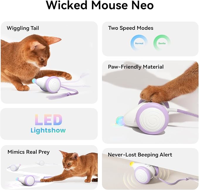 Interactive Cat Toys for Indoor Cats - Automatic Moving Kitten Toys, Wicked Mouse Neo Cat Toy with Tail & Lights, Pet Cat Supplies, Rechargeable Cat Toys for Bored Indoor Adult Cats, Purple