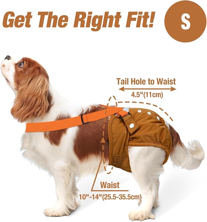Pet Soft Dog Diapers Female with Suspenders, 3 Pack Reusable Female Dog Diapers for Heat, Dog Period Panties for Doggie in Cycle(Small, Deepcolor)