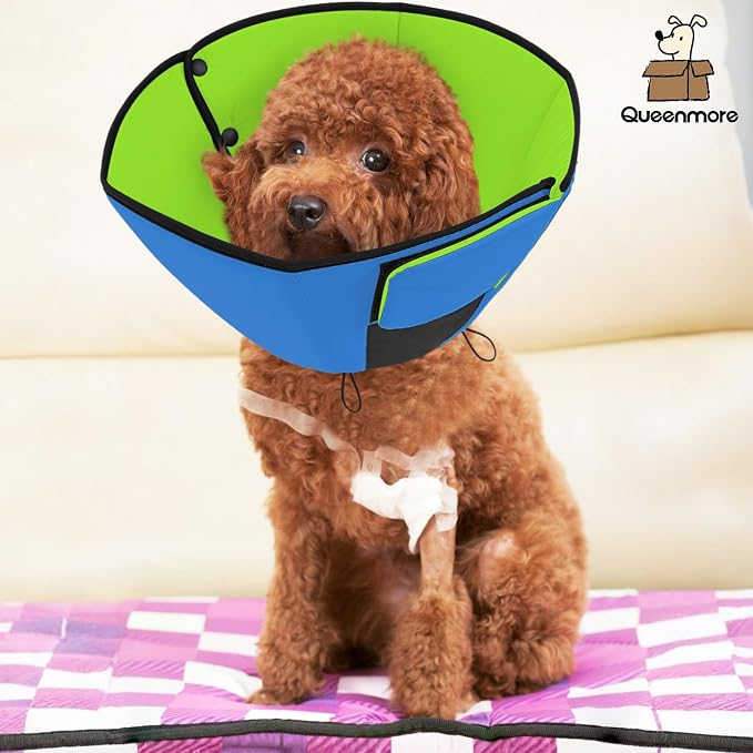 Queenmore Dog Cone XL, Soft Dog Cones for Large Dogs After Surgery, Cone for Dogs to Stop Licking, Elizabethan Collar for Pet, Alternative to Recovery Collar for Large Breeds, Blue&Green XL