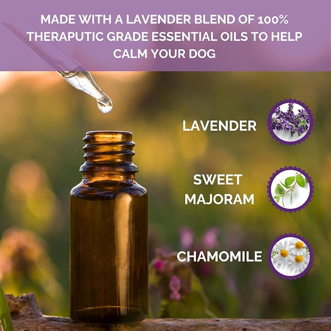 Rosewood Calm Fleece Flattie Dog Toy, with Calming Lavender Blend Essential Oils