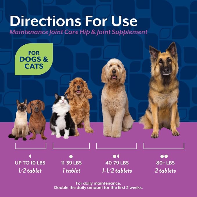 NaturVet Glucosamine DS Level 1 Maintenance Care Hip & Joint Support Pet Supplement for Dogs & Cats –Glucosamine, Chondroitin, Antioxidants –Supports Cartilage, Joint Function – 60 Ct.