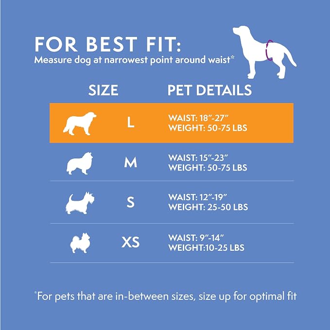 Simple Solution Disposable Dog Diapers, Wraps for Male Dogs, Puppy Diaper, Potty Training, Puppy Essential, Absorbent, Wetness Indicator, For Large Pets, 18 – 27 Inch Waist (L,12 Count)