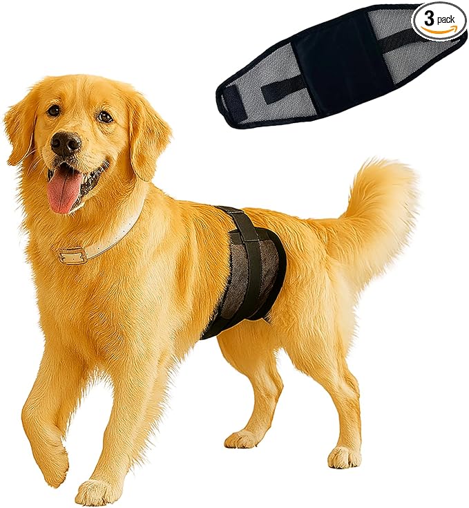 3-Pack Dog Diapers Male–Reusable & Washable Belly Bands for Dogs, Breathable Air-Mesh Fabric,for Doggie & Puppy in Incontinence or Excitable Urination and Training (Black, L, Count, 3)
