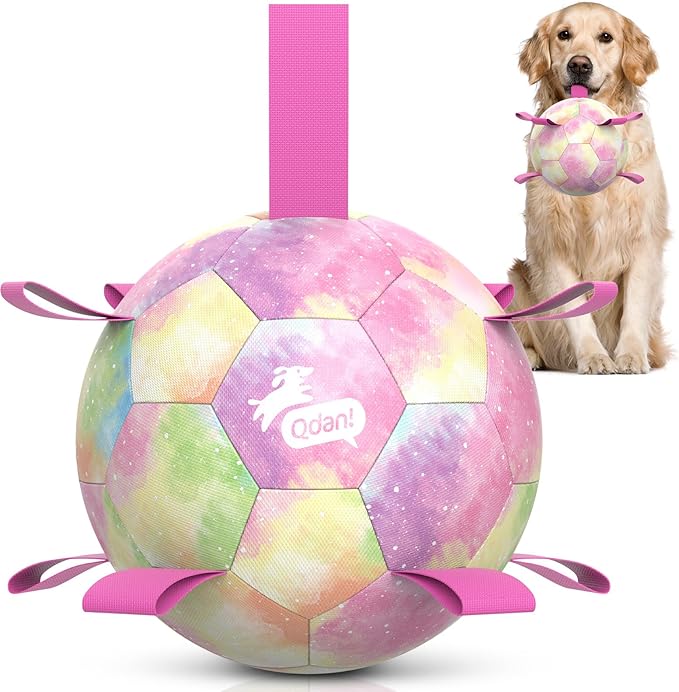QDAN Dog Balls: Herding Ball for Dogs, Outdoor Toys Dog Soccer Ball with Straps, Interactive Pet Toys for World Cup Large Dogs Tug of War, Pet Birthday Gifts,Gradient Rainbow (8 Inch)