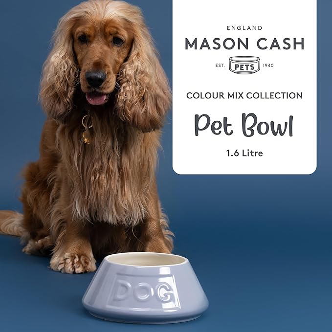 Mason Cash: Non-Tip Dog Bowl - Grey - 8.3", 54oz - Durable Ceramic Food & Water Angled Dish, Microwave-Dishwasher Safe, Pet Meal Feeding & Hydration