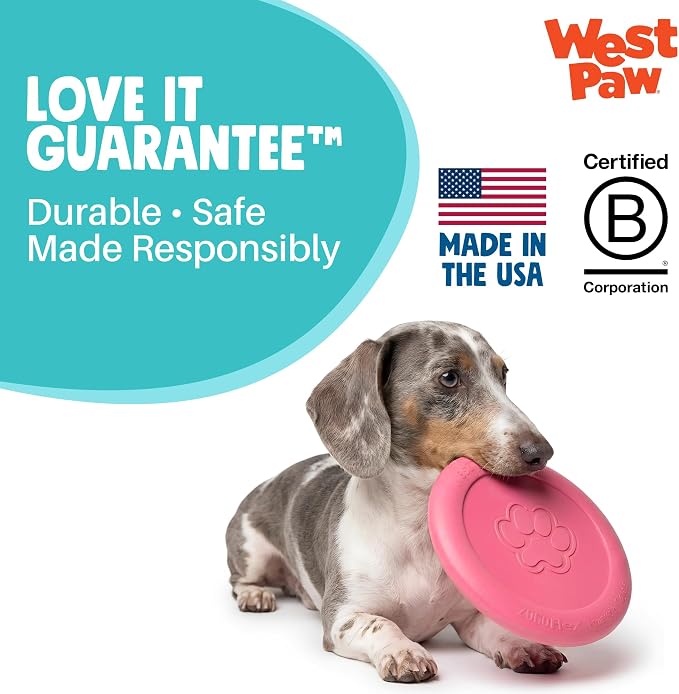 WEST PAW Zogoflex Zisc Dog Flying Disc, High Flying Aerodynamic Disc for Dogs Puppy – Lightweight, Floatable Disc for Fetch, Tug of War, Catch, Play – Doubles as Food/Water Bowl, Large 8.5", Teal