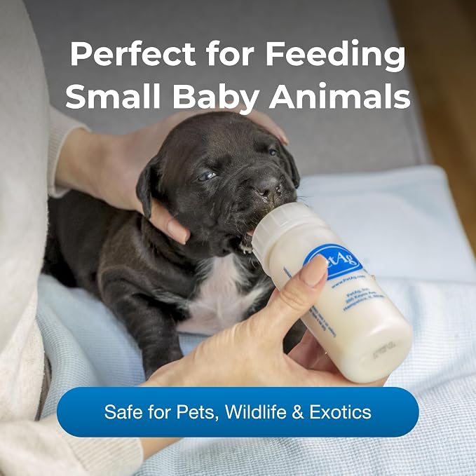 PetAg Nurser Bottle - 4 oz, Pack of 4 - Promotes The Natural Feeding of Liquids - Designed for Larger Animals - Durable & Easy to Clean