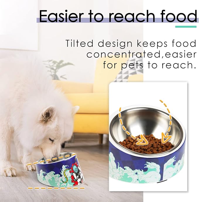 Super Design Mess Free 15° Slanted Bowl for Dogs and Cats, Tilted Angle Bulldog Bowl Pet Feeder, Non-Skid & Non-Spill, Easier to Reach Food