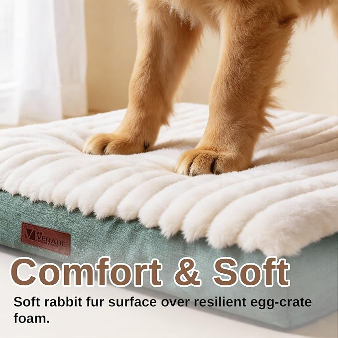 Orthopedic Dog Bed with Firm High-Density Egg Crate Foam, Machine Washable Cover & Non-Slip Bottom for Medium Breeds (Green, 29" L x 18" W x 3" H)
