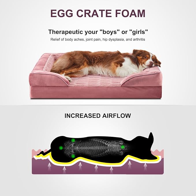 FURTIME Orthopedic Large Dog Bed, XL Waterproof Dog Beds, 42x35x6.5 Supportive Foam Pet Couch Bed with Removable Washable Cover and Nonskid Bottom