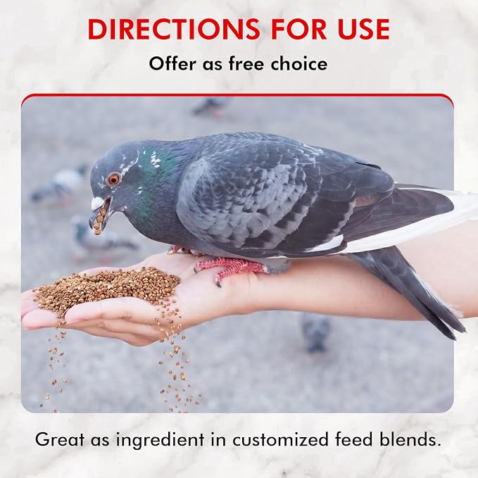 Morning Bird Pigeon Grit - Healthy & Nutritious Pigeon Food to Support Strong Muscles & Bones for Grit Eating Birds - Supports Digestion & Packed with Essential Minerals, 1.5 lbs