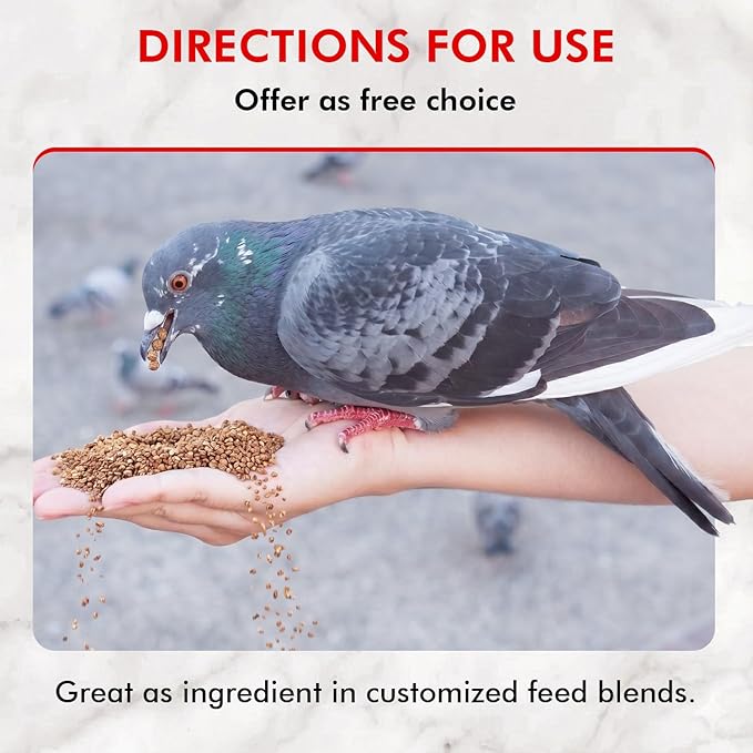 Morning Bird Pigeon Grit - Healthy & Nutritious Pigeon Food to Support Strong Muscles & Bones for Grit Eating Birds - Supports Digestion & Packed with Essential Minerals 4.5 lbs (3-Pack, 1.5 lbs Each)