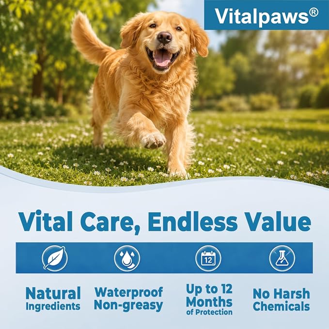 Flea and Tick Collar for Dogs 2 Pack - 12 Month Natural Flea and Tick Prevention for Dogs, Waterproof Dog Flea & Tick Control with Continuous Release, Adjustable Large Dog Collar