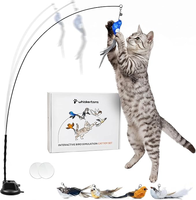 Whiskertons Interactive Bird Simulation Cat Toy Set, Interactive Cat Toys for Indoor Cats, Cat Feather Toy, Self-Holding Suction Base, 5 Replacement Birds, Feathers & Bells, Realistic Bird Impression