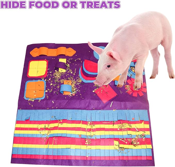 Snuffle Mat for Pigs, Pet Food Mat, Foraging Mat Toy for Small Animals, Pig Toys for Pet Pig, Pig Supplies