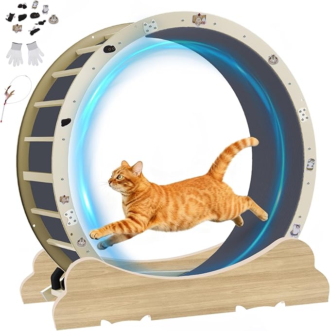 GTPLAYER Cat Wheels, Large Cat Exercise Wheel for Indoor Cats, 40" Diameter cat Treadmill Detachable Carpet & Teaser, Stickers, Ultra-Quiet Scroll Wheel with Latch, Metal, Woodgrain Ears-2 Style