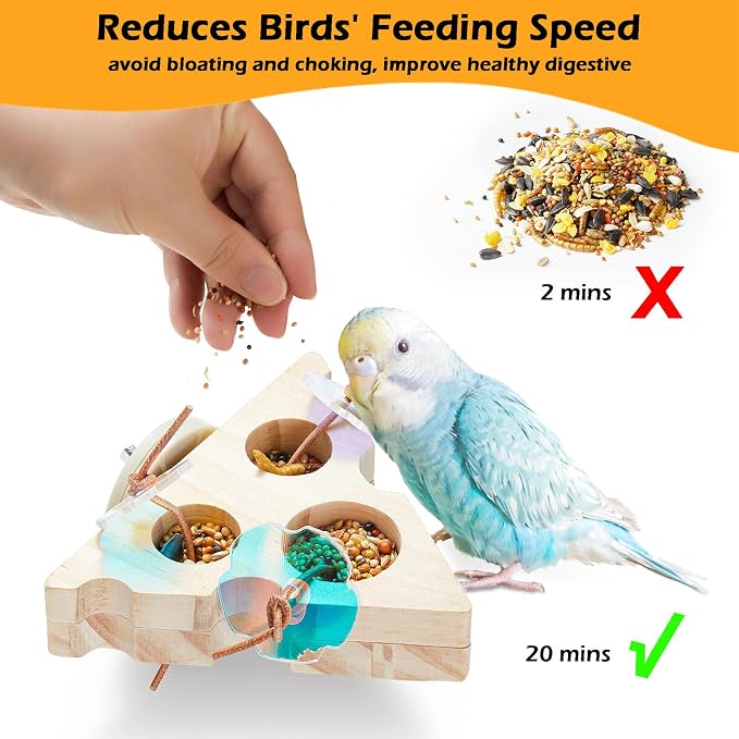 Small Pet Activity Set - 2pc Wooden Bird Foraging Toys and 3pc Sugar Glider Climbing Ropes for Cage Enrichment Green Blue Yellow