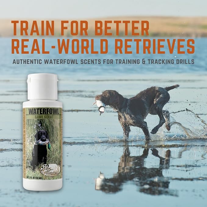 Ultimate Waterfowl Dog Training Scent - with Realistic Mallard Training Dummy Included for Effective Bird Dog Training