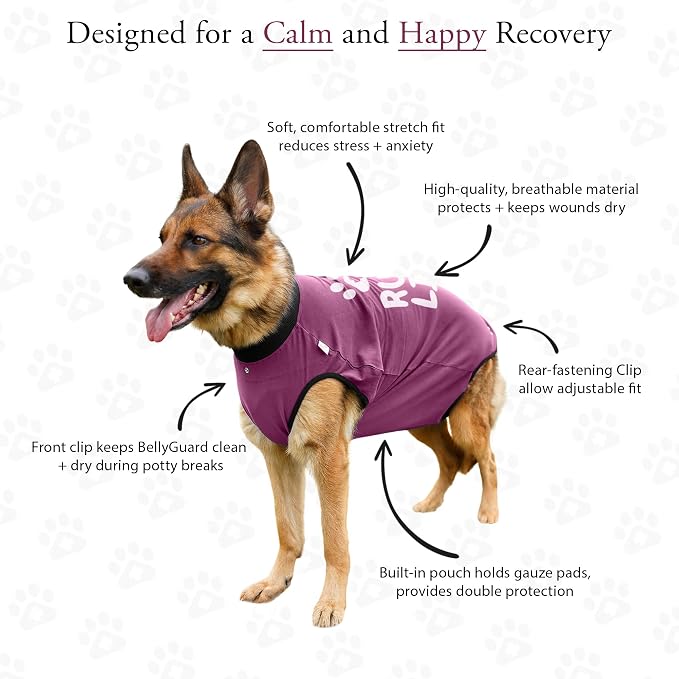 BellyGuard Dog Surgery Recovery Suit, Post-Op Dog Recovery Suit for Female Spay & Male Neuter, Comfy Onesie for Pets, Surgical Body Cover for Canine Healing Support