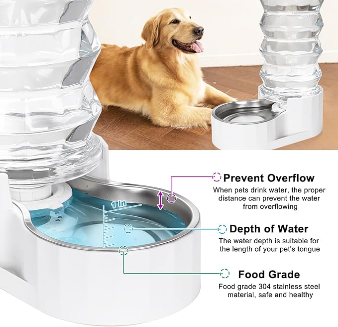 RIZZARI 8L Stainless Steel Gravity Pet Water Dispenser – Auto-Refill | Fresher Daily Drinking, for Multi-Pet Homes, Activated Carbon Filtration, Easy to Clean