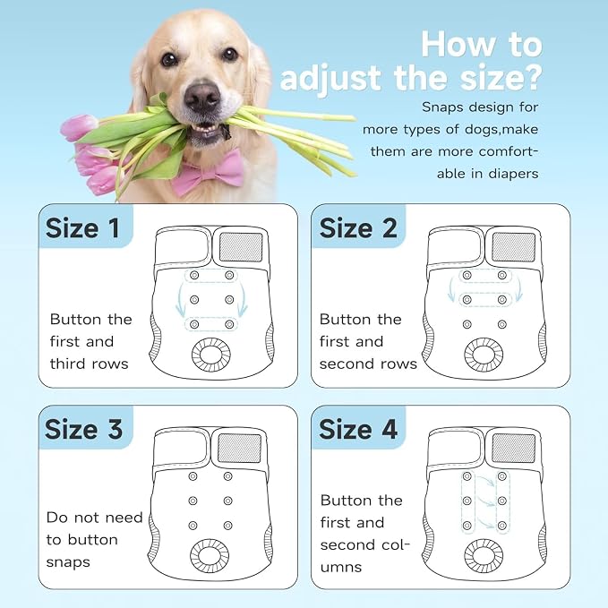 Paw Legend Washable Reusable Female Dog Period Diapers for Heat Doggie Puppy Diapers for Female Dogs (3 Pack, Large)