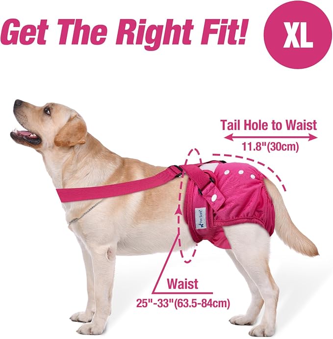 Pet Soft Dog Diapers Female with Suspenders, 3 Pack Reusable Female Dog Diapers for Heat, Dog Period Panties for Doggie in Cycle(X-Large, Berry Mix)