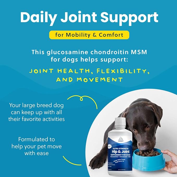 Liquid Glucosamine for Dogs 2600mg, Hip & Joint Supplement with Chondroitin & MSM, 32 oz Mobility Support for Large Dogs, Human-Grade Joint Care Made in GMP & FDA Registered Facility