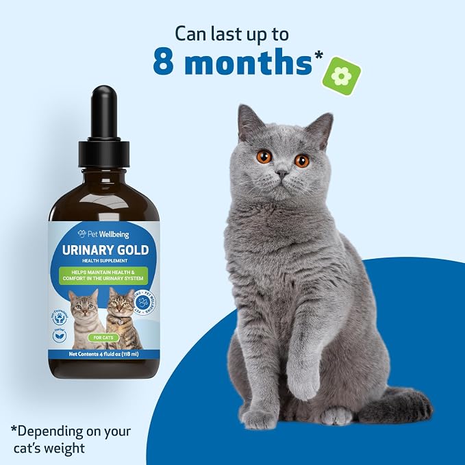 Pet Wellbeing Urinary Gold for Cats - Vet-Formulated Multi-Herb Urinary Tract Support - Feline Bladder Health & Urinary System Wellness - Holistic Cat Supplement - 4 fl oz (118 ml)