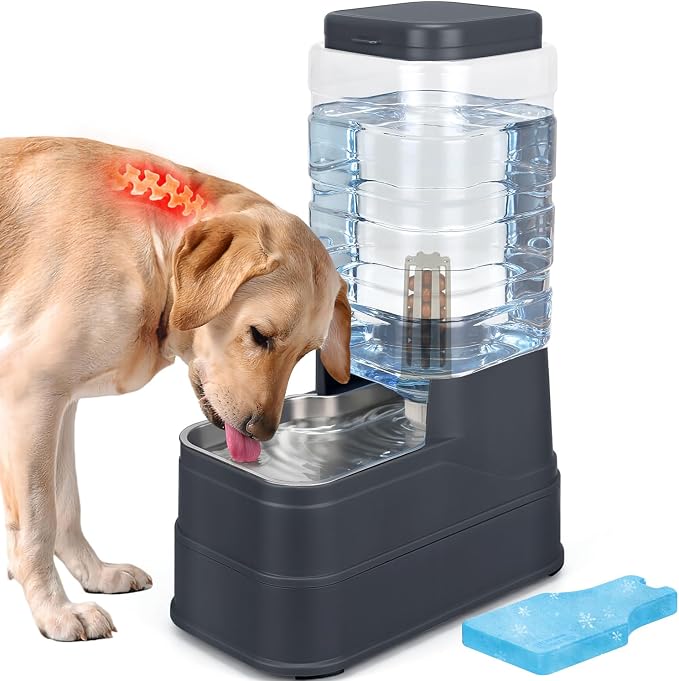 2.2 Gallon Pet Automatic Dog Water Dispenser Cat Gravity Waterer Feeder with Stainless Steel Bowl 8L Large Capacity Puppy Feeding Raised Bowls with Filter,Ice Pack