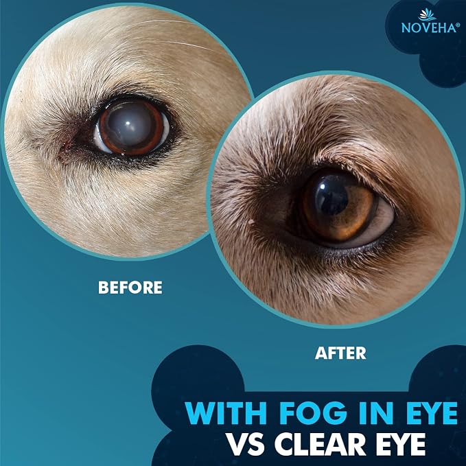 NOVEHA Pet Drops | Advanced Lanosterol Solution + NAC (2 x 10 mL)