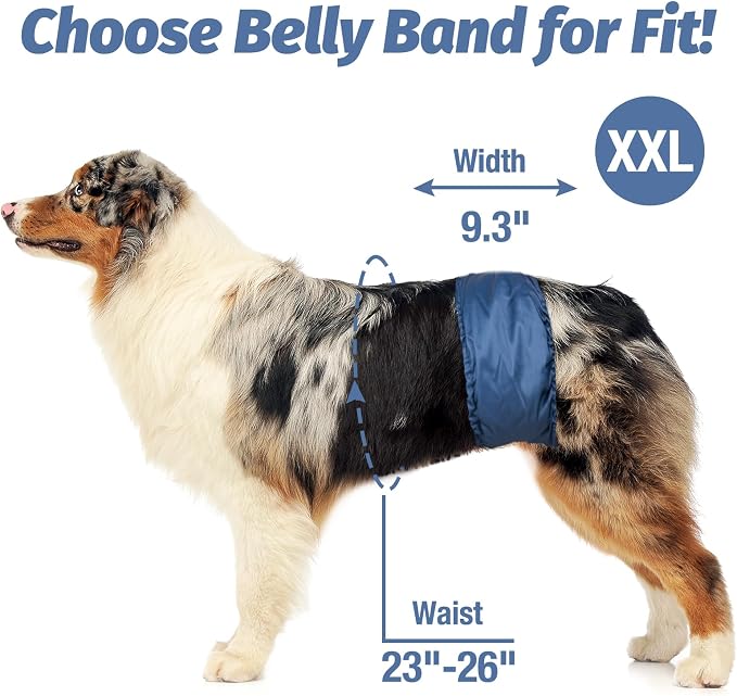 Pet Soft Dog Belly Band - 3 Packs Reusable Dog Diapers Male Doggy Diapers Wraps - Washable Dogs Belly Bands for Male Dogs (Classic, XXL)