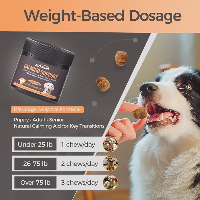 Melatonin Calming Chews for Dogs, Calming Dog Supplement, Melatonin Chews to Help Reduce Anxiety and Stress from Storms, The Vet, Fireworks and Travel, Chicken Flavored 120 Soft Chews 300g
