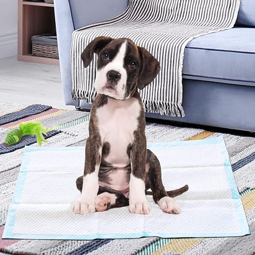 Giantex Dog Pee Pads 300 Count, 36''x24'' Large Dog Potty Pads, Powerful Absorbency, 5-Layer Design, Leak-Proof Disposable Pet Piddle Training Pad for Dogs Doggie Cats Rabbits