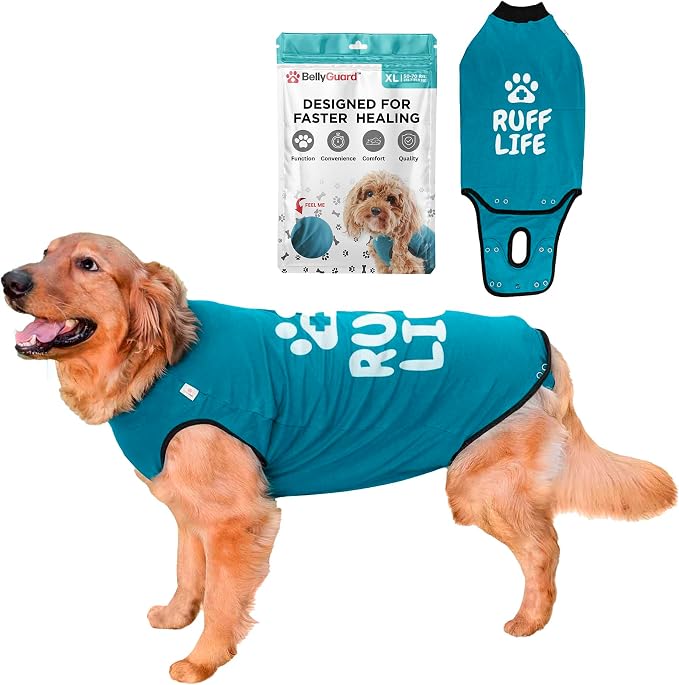 BellyGuard Dog Surgery Recovery Suit, Post-Op Dog Recovery Suit for Female Spay & Male Neuter, Comfy Onesie for Pets, Surgical Body Cover for Canine Healing Support