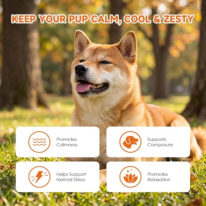 Dog Calming Chews - Calming Treats for Dogs for Separation Anxiety| Anxiety Relief for All Breeds, Puppies & Adult Dogs, Bacon Flavor, 120 Count